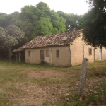 FAZENDA DUPLA APTIDÃO COM 930 ALQUEIRES EM DIANÓPOLIS - TO