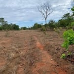 FAZENDA COM 1.480 HECTARES DUPLA APTIDÃO EM PARANATINGA - MT