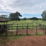 FAZENDA COM 90 ALQUEIRES DUPLA APTIDÃO NO MUNICÍPIO DE JUSSARA - GO