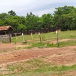 FAZENDA 1.510 ALQUEIRES DE DUPLA APTIDÃO EM SILVANÓPOLIS-TO