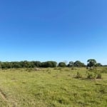 FAZENDA DUPLA APTIDÃO COM 447 ALQUEIRES EM SÃO MIGUEL DO ARAGUAIA - GO