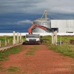 FAZENDA DUPLA APTIDÃO COM 600 ALQUEIRES EM PINDORAMA DO TOCANTINS - TO