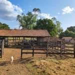 FAZENDA 218 ALQUEIRES DE DUPLA APTIDÃO EM FORMOSO DO ARAGUAIA-TO