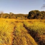 FAZENDA COM 125 ALQUEIRES DUPLA APTIDÃO NO MUNICÍPIO DE BOM JARDIM DE GOIÁS - GO