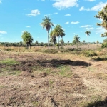 FAZENDA COM 350 ALQUEIRES DUPLA APTIDÃO NO MUNICÍPIO DE PALMEIRANTE - TO