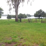 FAZENDA COM 986 ALQUEIRES DUPLA APTIDÃO NO MUNICÍPIO DE COCALINHO - MT