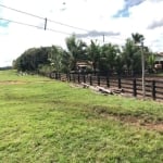 FAZENDA COM 400 ALQUEIRES PARA PECUÁRIA NO MUNICÍPIO DE SÃO FÉLIX DO XINGU - PA