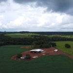 FAZENDA PARA AGRICULTURA COM 1.300 HECTARES EM PRIMAVERA DO LESTE