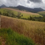 FAZENDA DUPLA APTIDÃO COM 1.500 HECTARES EM PIUMHI-MG