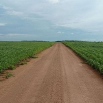 FAZENDA PARA AGRICULTURA COM 227 ALQUEIRES EM SANTA RITA DO TOCANTINS-TO