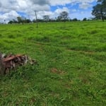 FAZENDA COM 55 ALQUEIRES DE DUPLA APTIDÃO EM CAMPINA VERDE-MG