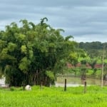 FAZENDA COM 41 ALQUEIRES DUPLA APTIDÃO NO MUNICÍPIO DE CAMPINA VERDE - MG