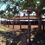 FAZENDA DUPLA APTIDÃO EM CAMPINA VERDE-MG 206 ALQUEIRES