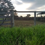 FAZENDA COM 62 ALQUEIRES PARA PECUÁRIA NO MUNICÍPIO DE ITUIUTABA - MG