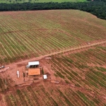 FAZENDA COM 17 ALQUEIRES PARA LARANJA EM CAMPINA VERDE-MG