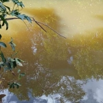 FAZENDA COM 160 ALQUEIRES DE DUPLA APTIDÃO EM RIO SONO-TO