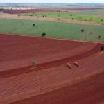 FAZENDA COM 60 ALQUEIRES DUPLA APTIDÃO ARRENDADA PARA CANA EM CARNEIRINHO-MG