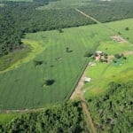 FAZENDA COM 100 ALQUEIRES DE DUPLA APTIDÃO EM SÃO MIGUEL DO ARAGUAIA-GO