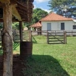 FAZENDA COM 89 ALQUEIRES DUPLA APTIDÃO EM CAMPO FLORIDO-MG