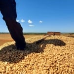 FAZENDA PARA AGRICULTURA COM 450 ALQUEIRES PAULISTAS EM CASSILÂNDIA-MS