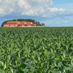 FAZENDA COM 1.050 ALQUEIRES DUPLA APTIDÃO NO MUNICÍPIO DE SANTANA DO ARAGUAIA - PA