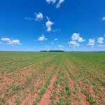 FAZENDA PARA AGRICULTURA COM 396 ALQUEIRES PAULISTAS EM CASSILÂNDIA-MS