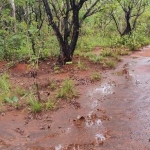 FAZENDA COM 245 ALQUEIRES DE DUPLA APTIDÃO EM ARAGUACEMA-TO