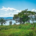 FAZENDA DE DUPLA APTIDÃO DE 840 ALQUEIRES EM LAGOA DO TOCANTINS-TO