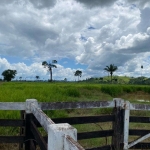 FAZENDA DUPLA APTIDÃO COM 300 ALQUEIRES EM SÃO FÉLIX DO XINGU - PA