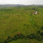 FAZENDA COM 660 ALQUEIRES DUPLA APTIDÃO EM SÃO FÉLIX DO XINGU-PA