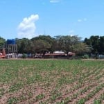 FAZENDA DE DUPLA APTIDÃO COM 95 ALQUEIRES EM FORMOSA-GO