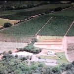 FAZENDA 38 ALQUEIRES PAULISTAS DUPLA APTIDÃO EM CAPITÓLIO-MG