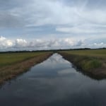 FAZENDA COM 77 ALQUEIRES PARA AGRICULTURA IRRIGADA EM LAGOA DA CONFUSÃO - TO