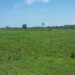 FAZENDA DUPLA APTIDÃO COM 2.416 ALQUEIRES EM FLORES DE GOIÁS - GO