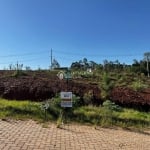 Terreno à venda na Valdir De Souza Nunes, 50, Porto Dos Pereiras, Montenegro