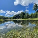 SÍTIO À VENDA EM NOVA PETRÓPOLIS/RS COM LAGO, Linha Olinda, Nova Petropolis - RS