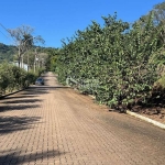 TERRENO EM PICADA CAFÉ COM 360M², São João, Picada Cafe - RS