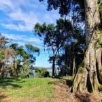 ÁREA DE TERRA COM 3 HECTARES EM NOVA PETRÓPOLIS, Linha Imperial, Nova Petropolis - RS