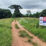 Área Rural para Venda em Campo Largo, Colônia Figueiredo