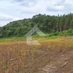 Área Rural para Venda em Campo Magro, Centro