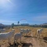 Fazenda à venda em Cajuru, Estado de São Paulo