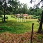 SÍTIO com 80,6 hectares, apenas à 30Km da rótula da Carlos Gomes, na antiga estrada do Espigão.&lt;BR&gt;Possui mata nativa, figueiras e nascentes.&lt;BR&gt;Casa principal com 3 dortmitórios, living c