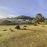 Procurando um Lote com vista?&lt;BR&gt; Temos uma ótima oportunidade,  com 583,94m² pouco aclive, frente Norte&lt;BR&gt;Em condomínio com infra completa, muita área verde e segurança.&lt;BR&gt;Venha c