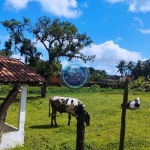 Área, Capibaribe, São Lourenço da Mata - R$ 2 mi, Cod: 238