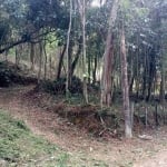 Terreno para Venda em Nova Friburgo, PARQUE SÃO CLEMENTE