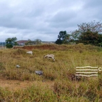 Terreno a Venda no Jardim Panorama em Caçapava