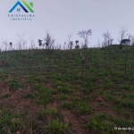 Terreno para venda em Botujuru (botujuru) de 20456.00m²