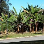 Terreno para venda em Residencial Tamboré de 1672.00m²