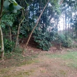 Terreno para venda em Residencial Tamboré de 2500.00m²