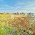 Terreno para alugar em Jardim Novo Horizonte de 5025.00m²